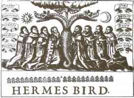 vogel dey hermes|@vogeldeshermes .